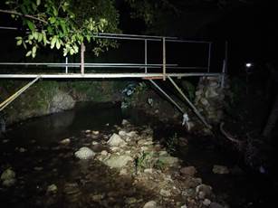 A metal ladder in a dark cave

Description automatically generated
