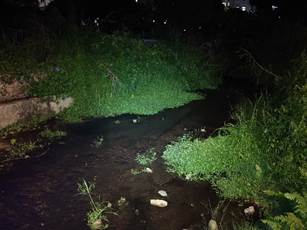 A stream running through a forest at night

Description automatically generated