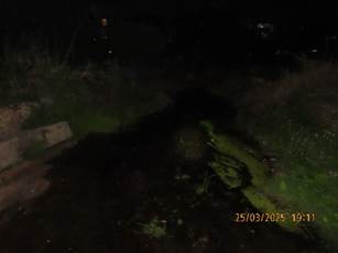 A dark night with green grass

AI-generated content may be incorrect.