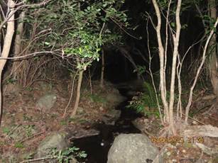 A stream in the woods at night

AI-generated content may be incorrect.