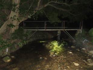 A bridge over a stream at night

AI-generated content may be incorrect.