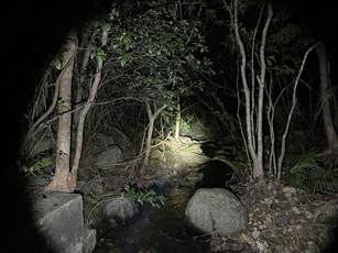 A light shining on a stream

AI-generated content may be incorrect.