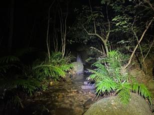 A small stream with a light shining on it

Description automatically generated