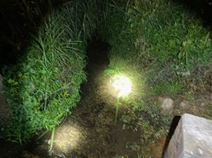 A light shining on a stream

Description automatically generated